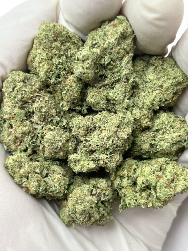 1 Pound THCa Flower - Gelatti Big
