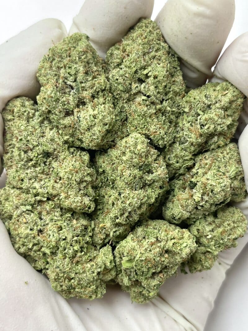 1 Pound THCa Flower - Guava Big