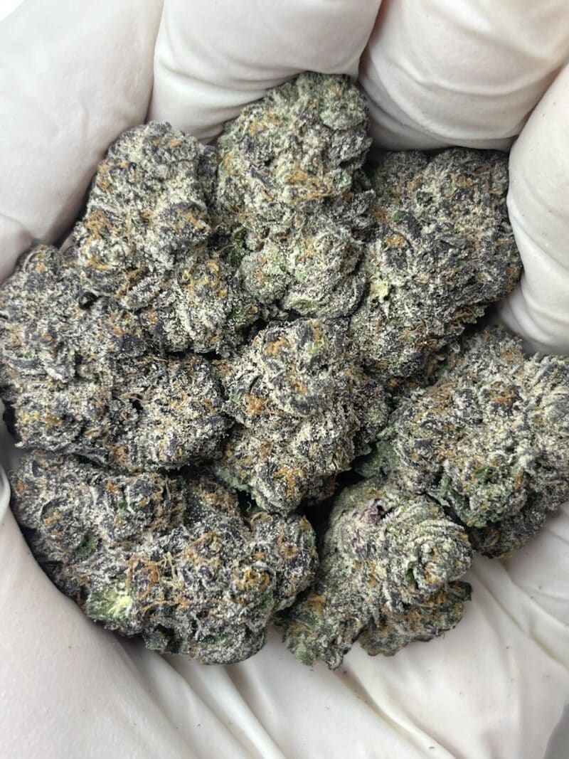 1 Pound THCa Flower - Jelly Cake Big
