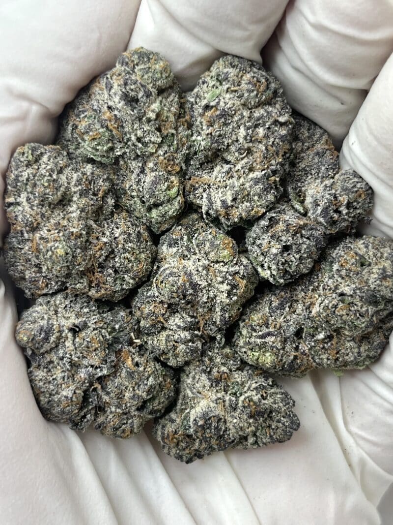 1 Pound THCa Flower - Princess Sherb Big
