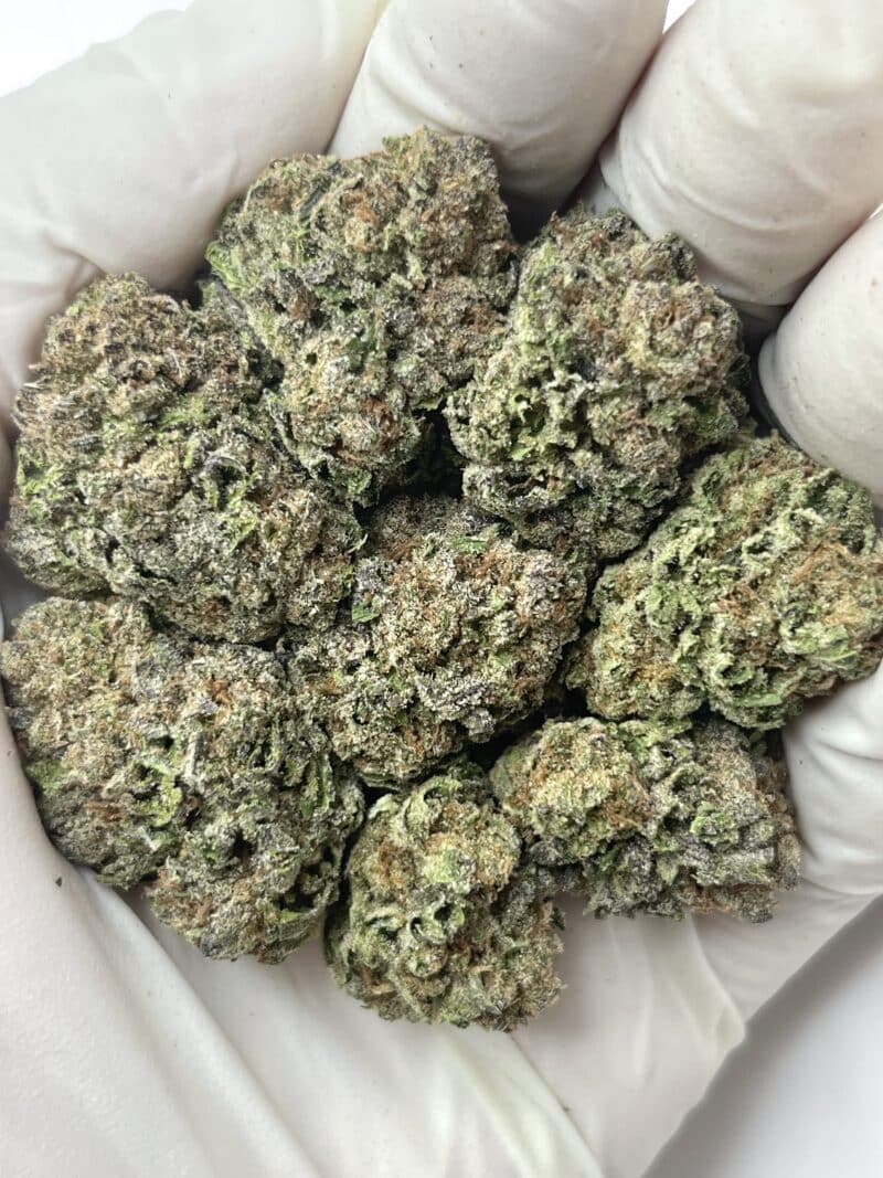 Blueberry Daiquiri THCA flower buds
