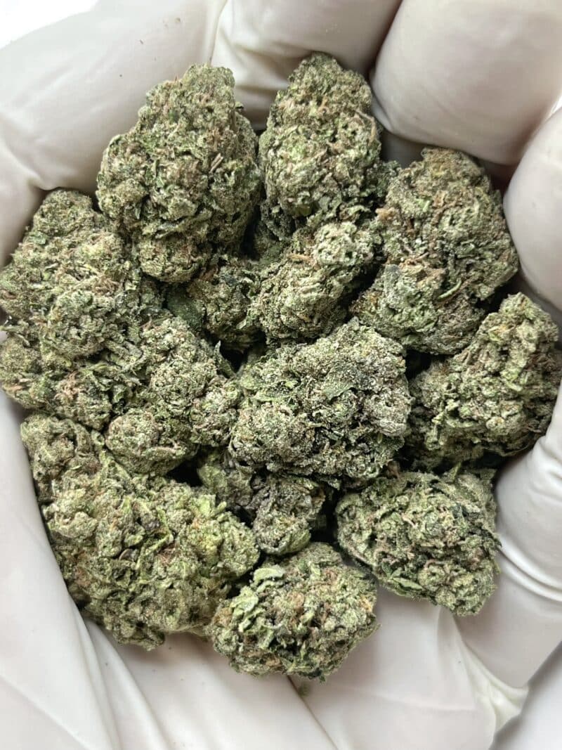 1 Pound THCa Flower - Cherry Gummies Big