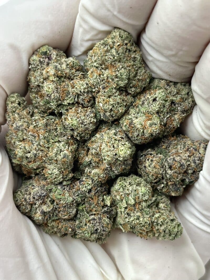 1 Pound THCa Flower - Red Velvet Big