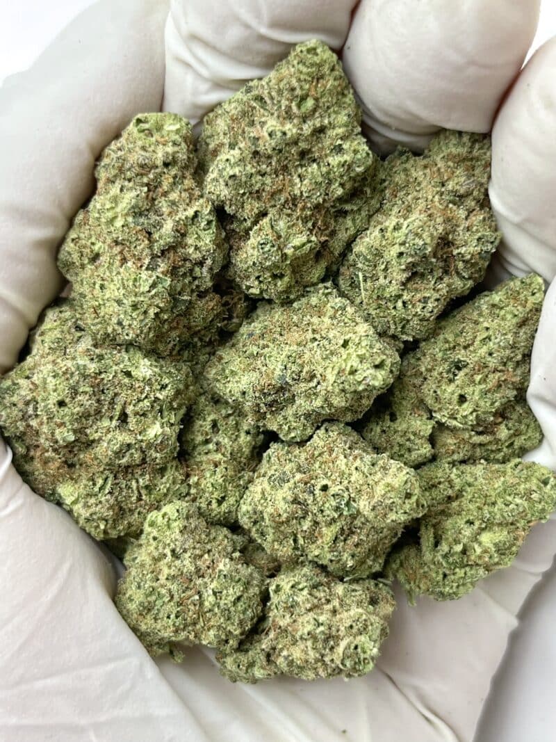 1 Pound THCa Flower - Banjo Big
