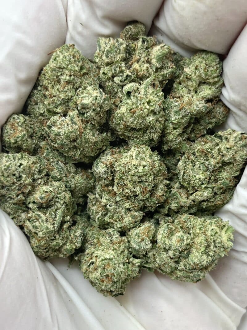 Gorilla Funk THCA flower buds