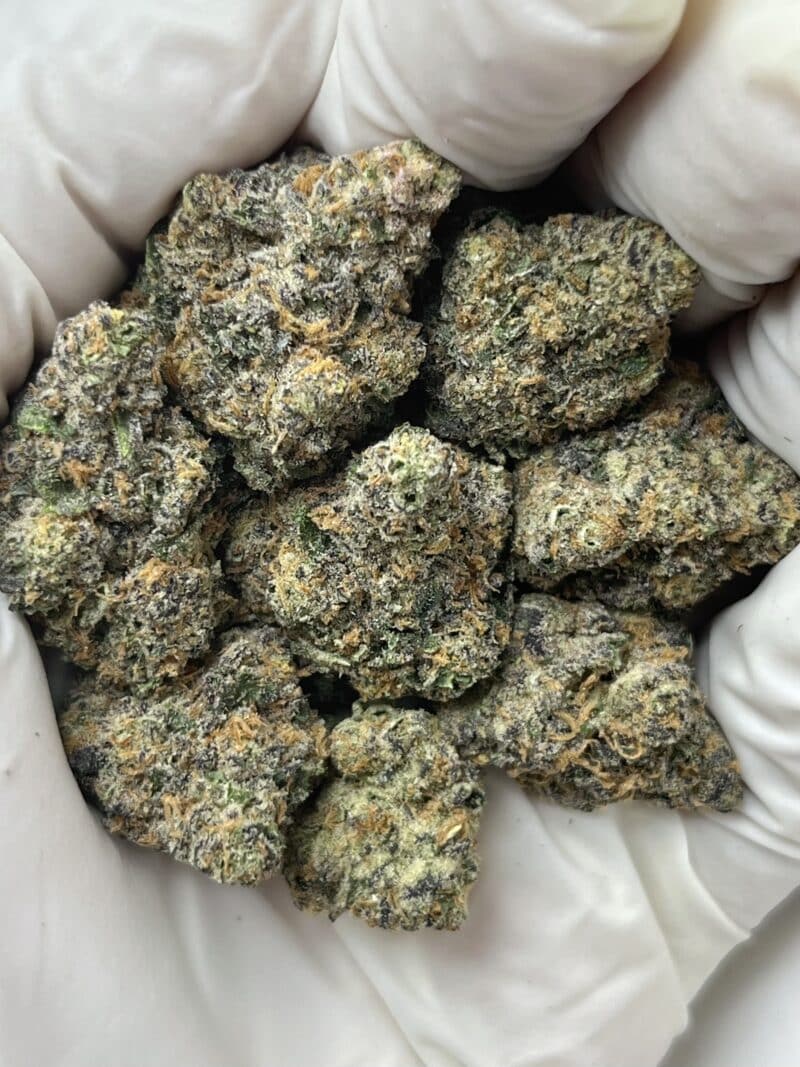 Apples & Bananas THCA flower buds