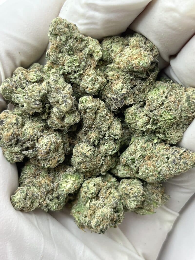 Gush Mintz THCA flower buds