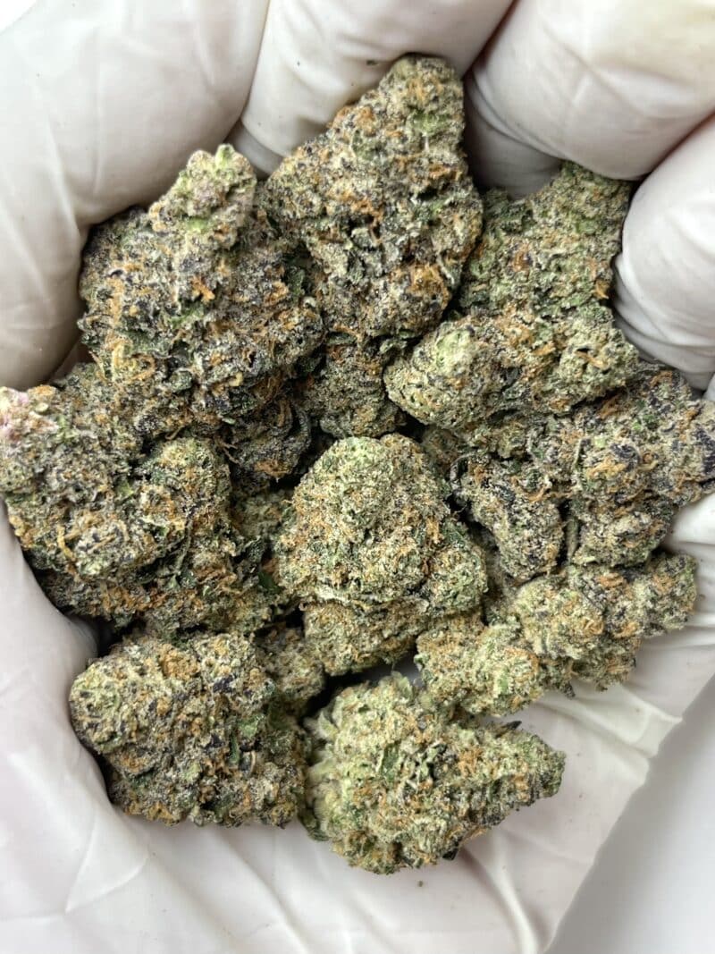 Biscotti THCA flower buds
