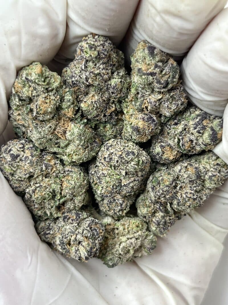 Sharpie THCA flower buds