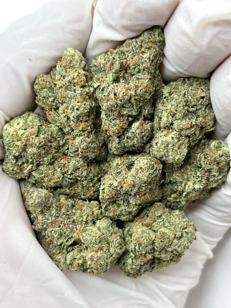 Pineapple Express THCA flower buds