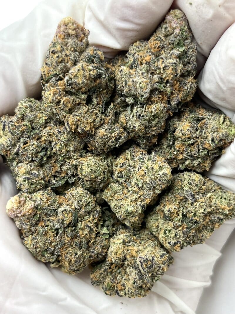 Applescotti THCA flower buds