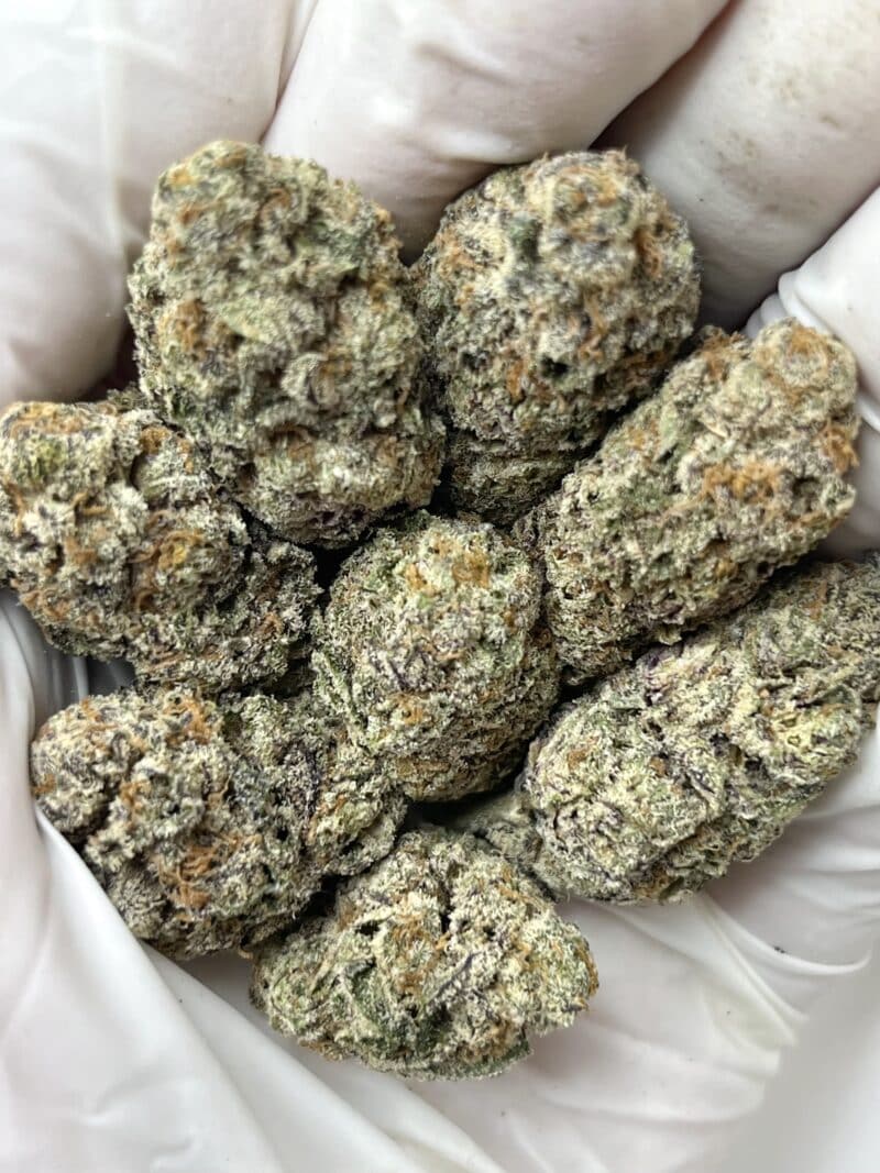 Kept Secret THCA flower buds