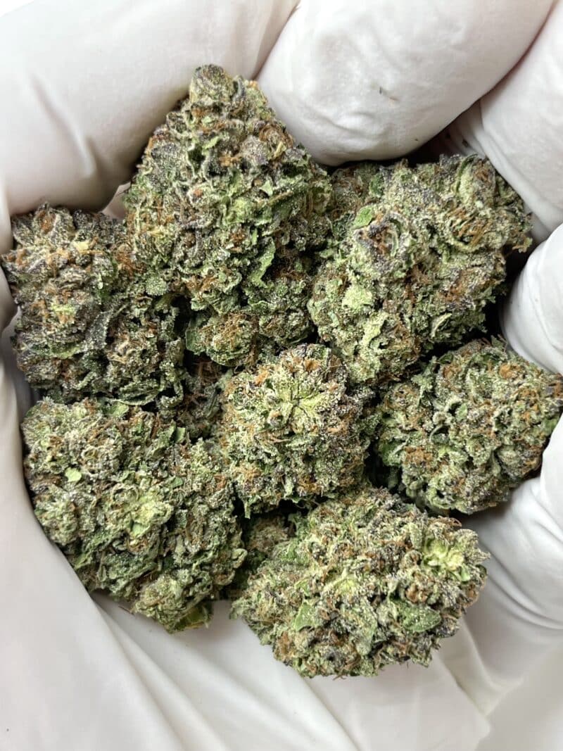 ICC THCA flower buds