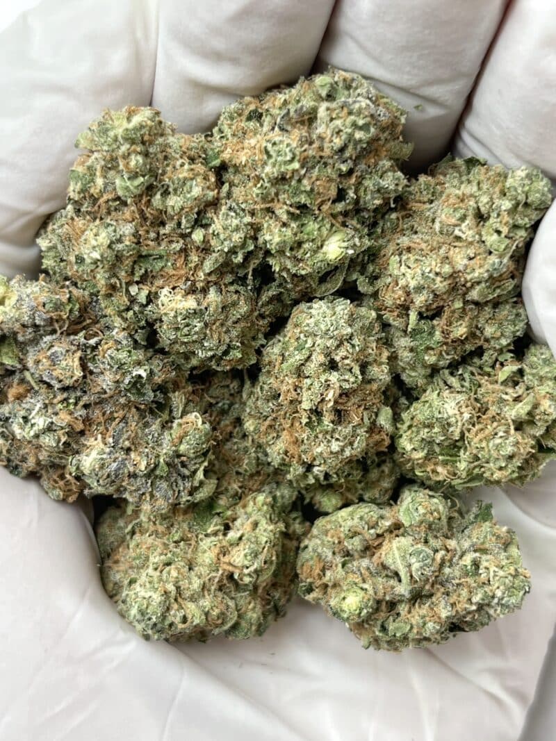 Animal Tree THCA flower buds