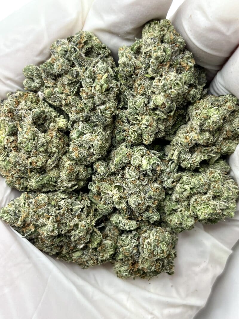 Platinum Lemon Gelato THCA flower buds