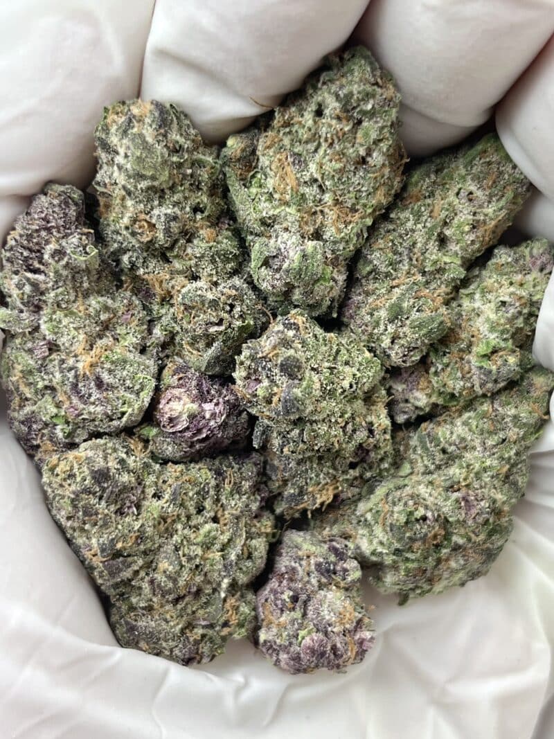 Block Berry THCA flower buds
