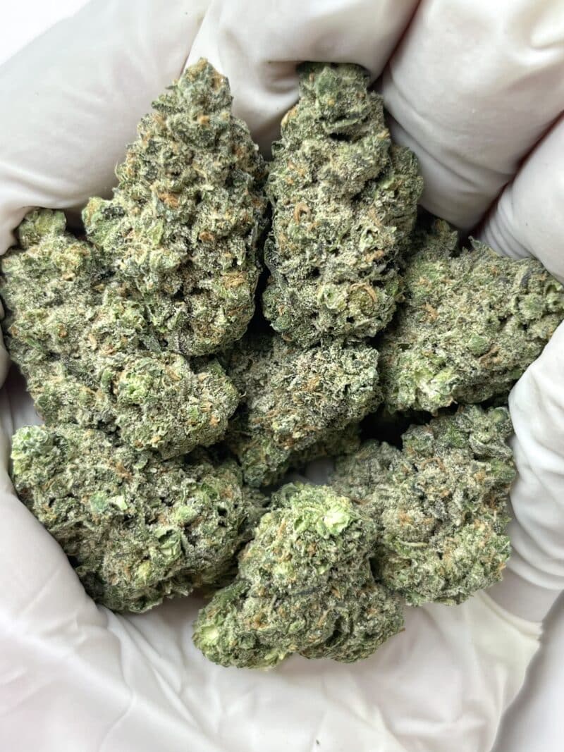 Street Tarts THCA flower buds