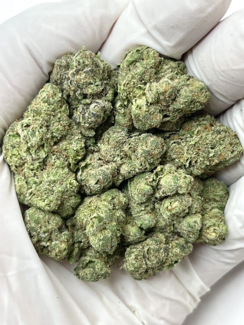 Runtz X Jealousy THCA flower buds