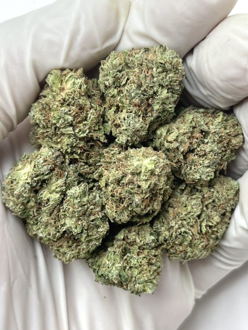 Candy THCA flower buds