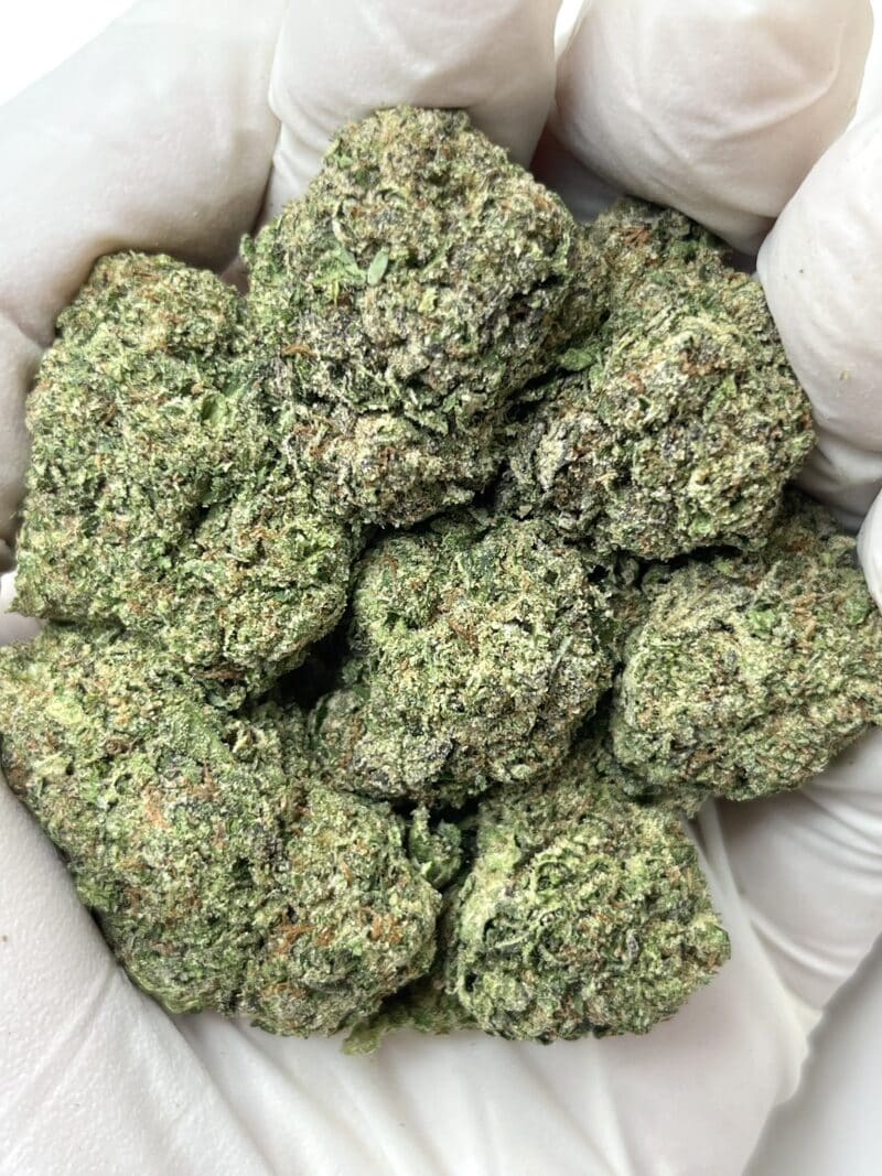 White Fire Runtz THCA flower buds
