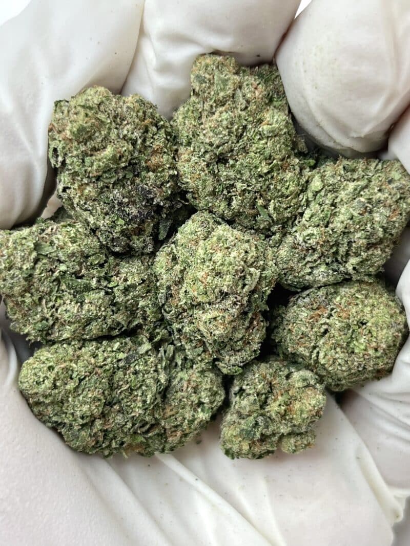Candy Rizz THCA flower buds