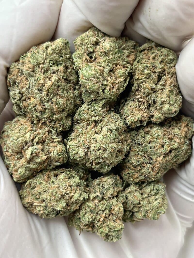Candy Runtz THCA flower buds