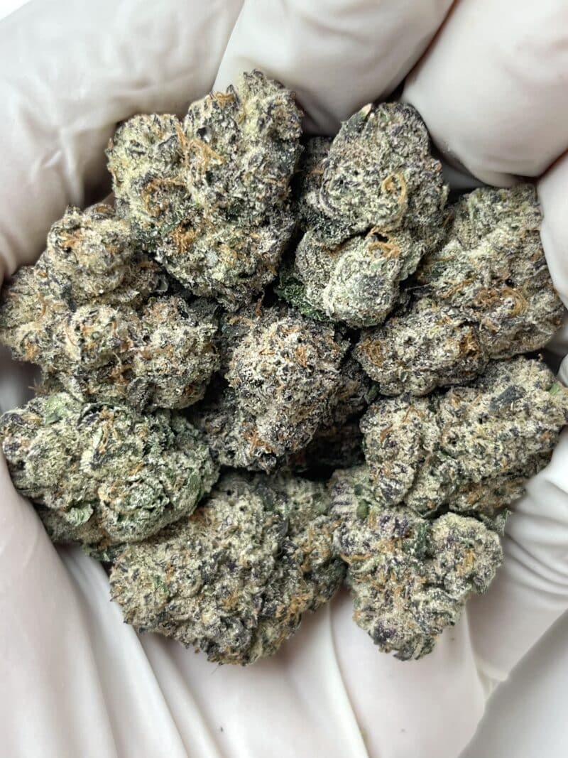 1 Pound THCa Flower - Cherry Slushie Big