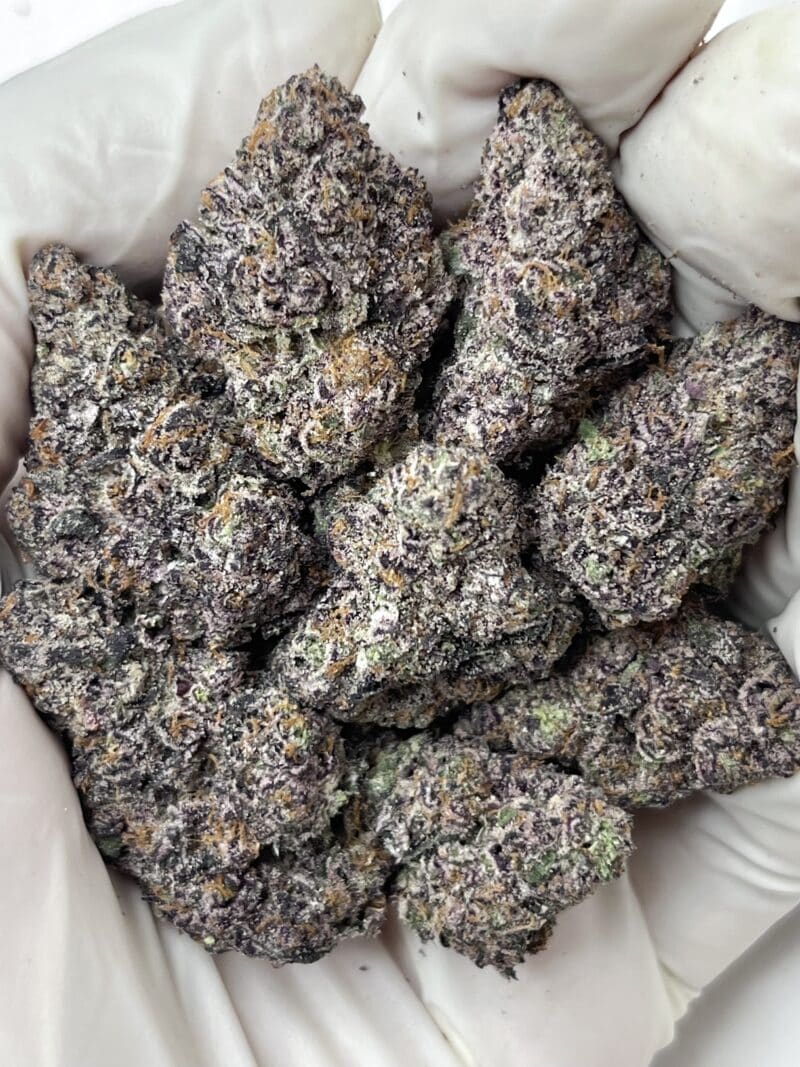 1 Pound THCa Flower - Caviar Runtz Big