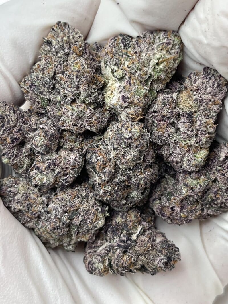 1 Pound THCa Flower - Black Runtz Big