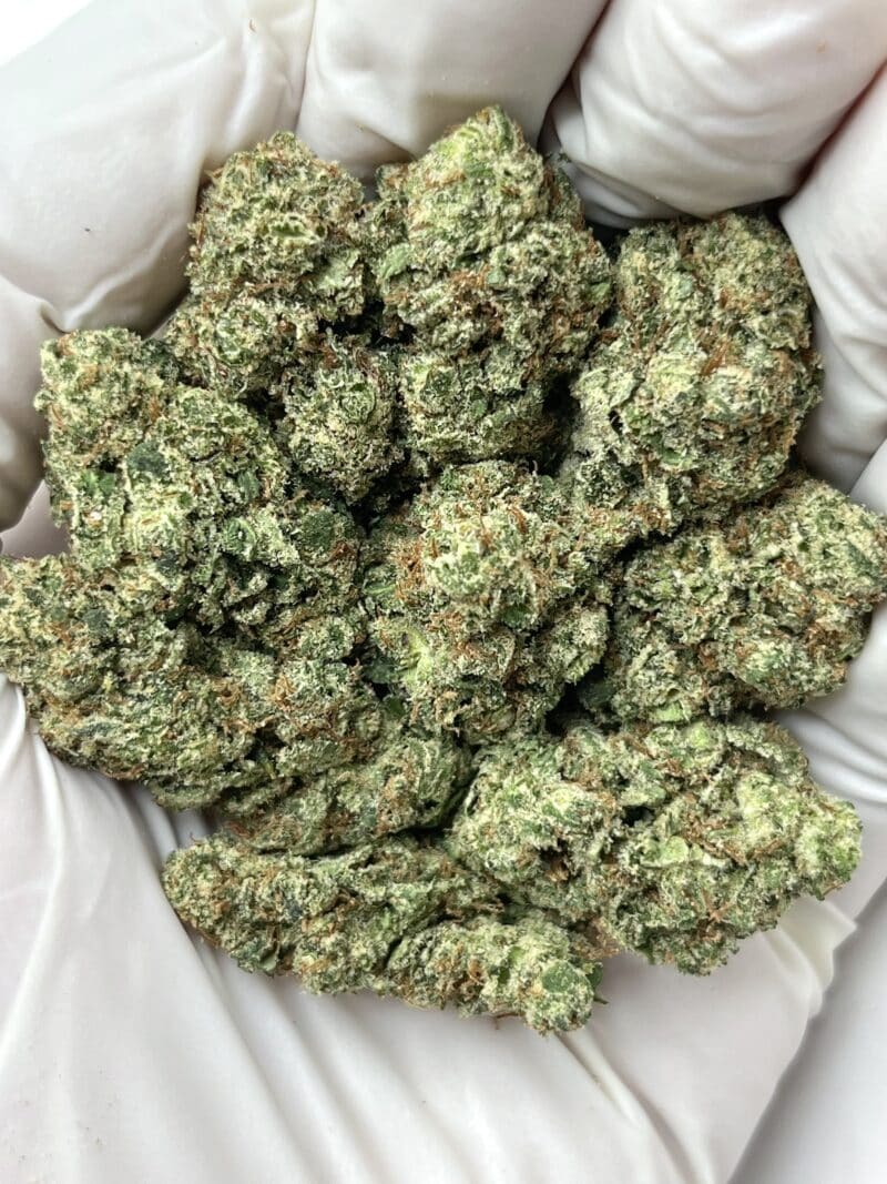 1 Pound THCa Flower - Lilac Diesel Big
