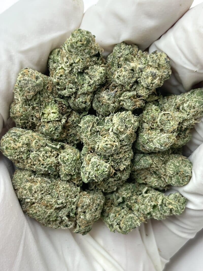 1 Pound THCa Flower - Lemon Cherry Sherbert Big