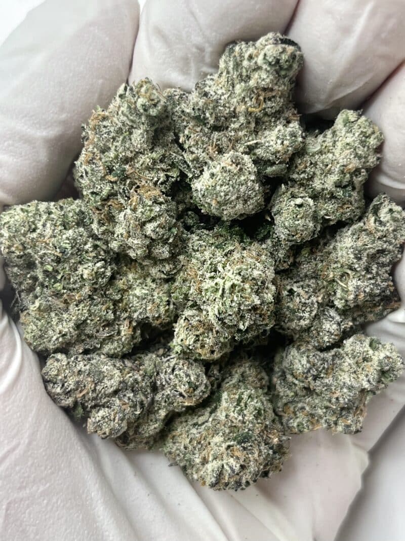 1 Pound THCa Flower - Zlurpeez Big