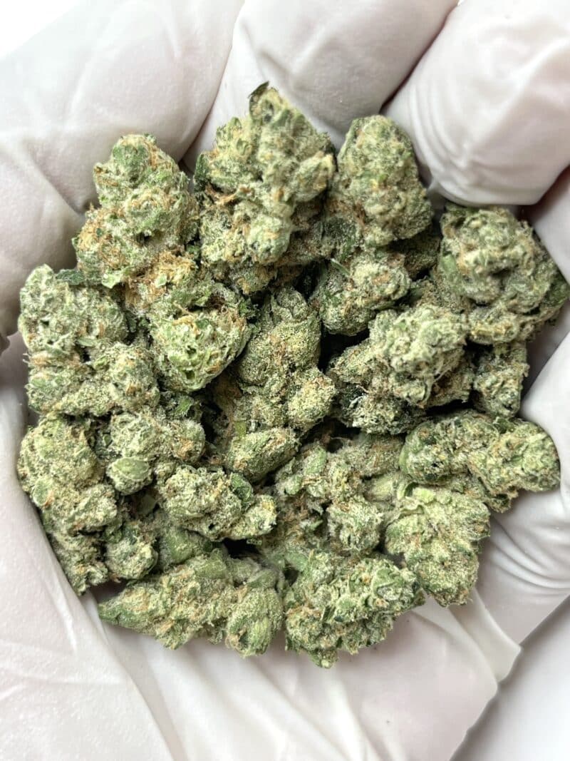 1 Pound THCa Flower - Lemoncello Big