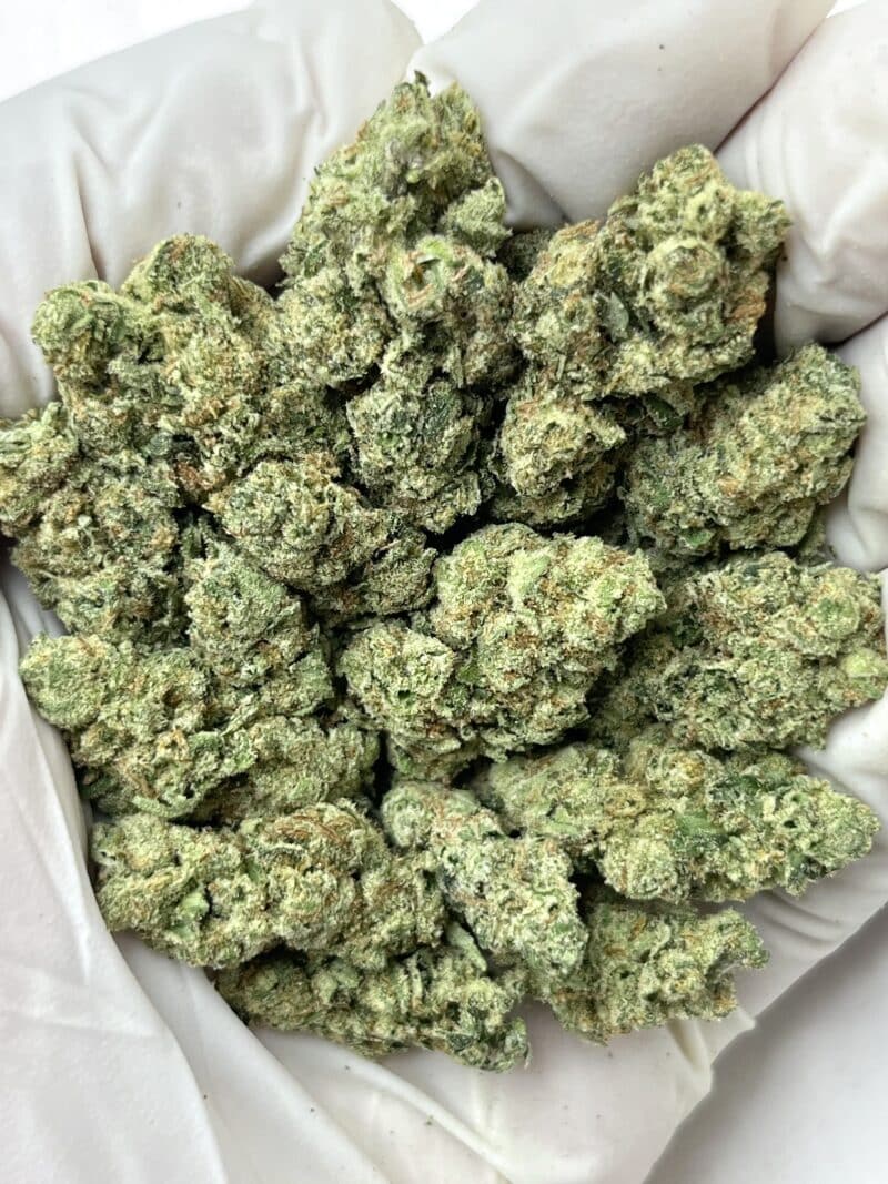 1 Pound THCa Flower - Super Silver Haze Big