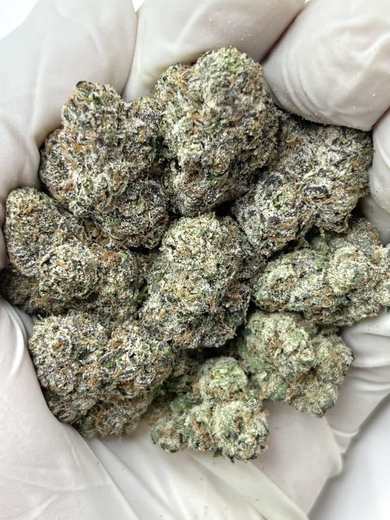 1 Pound THCa Flower - Pink Lemon Cherry Gelato Big