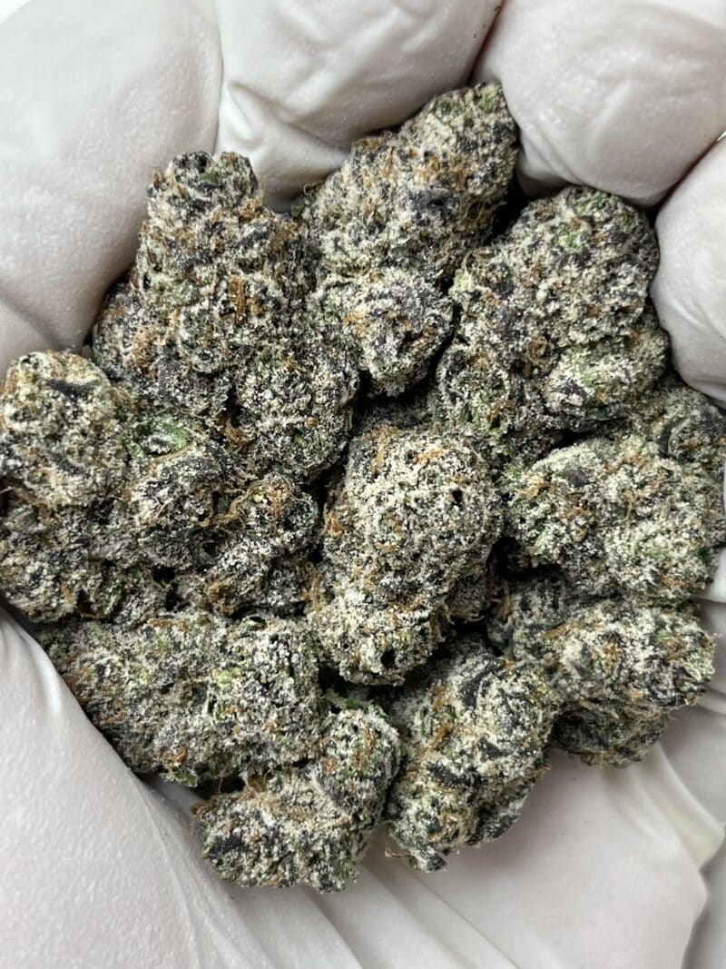 1 Pound THCa Flower - Rainbow Drip Big