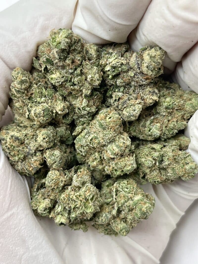 1 Pound THCa Flower - Gelato 41 x Kush Mintz Big