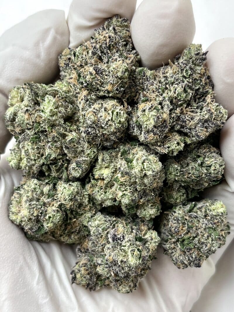 1 Pound THCa Flower - Panda Runtz Big