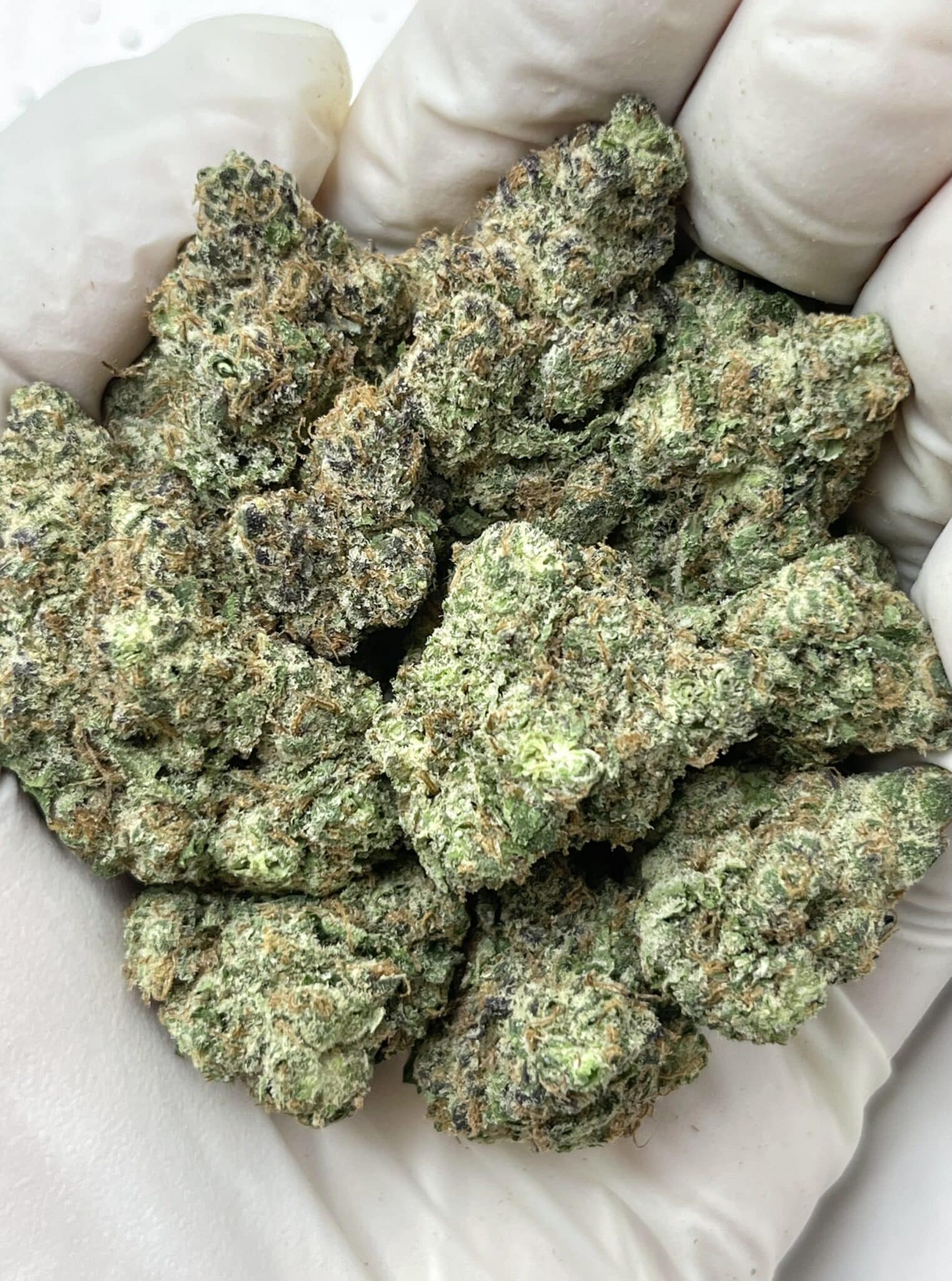 Rainbow Inferno THCA flower macro photo