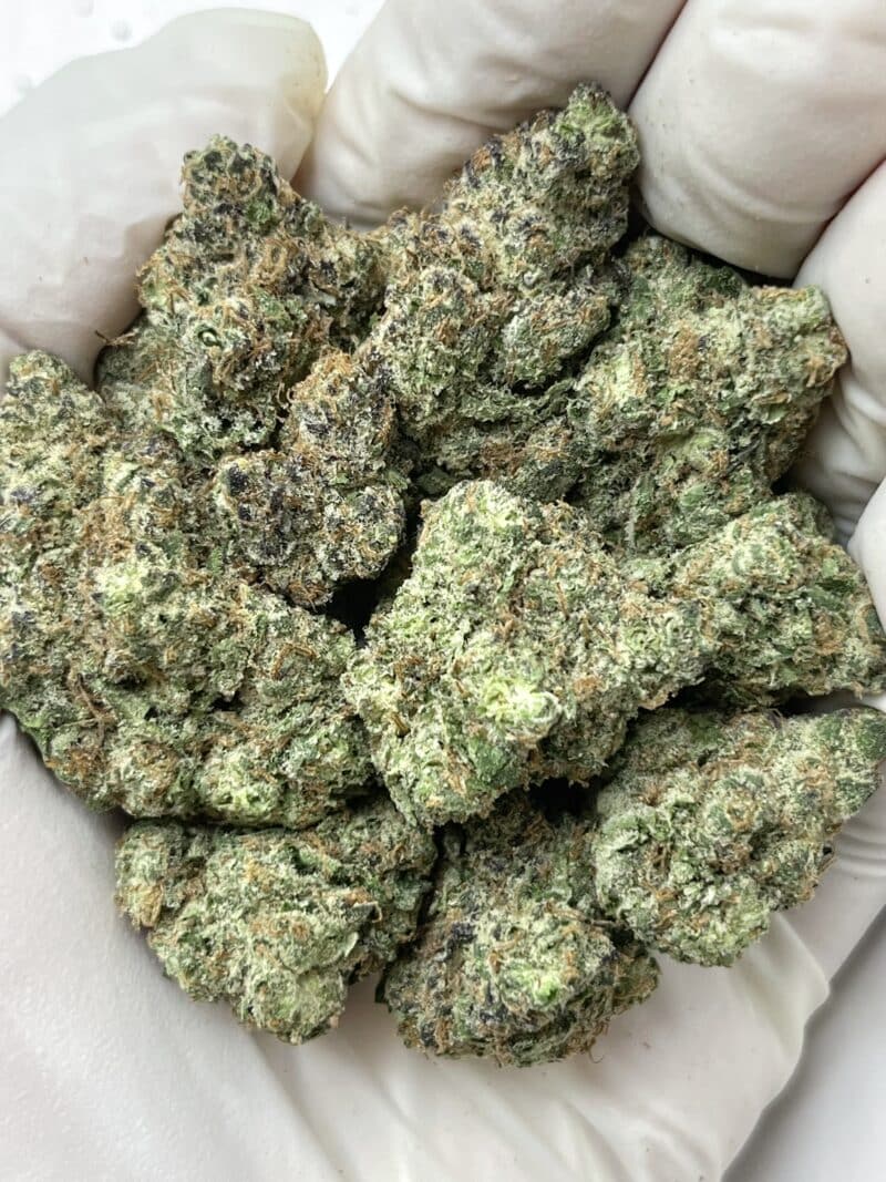 1 Pound THCa Flower - Rainbow Inferno Big