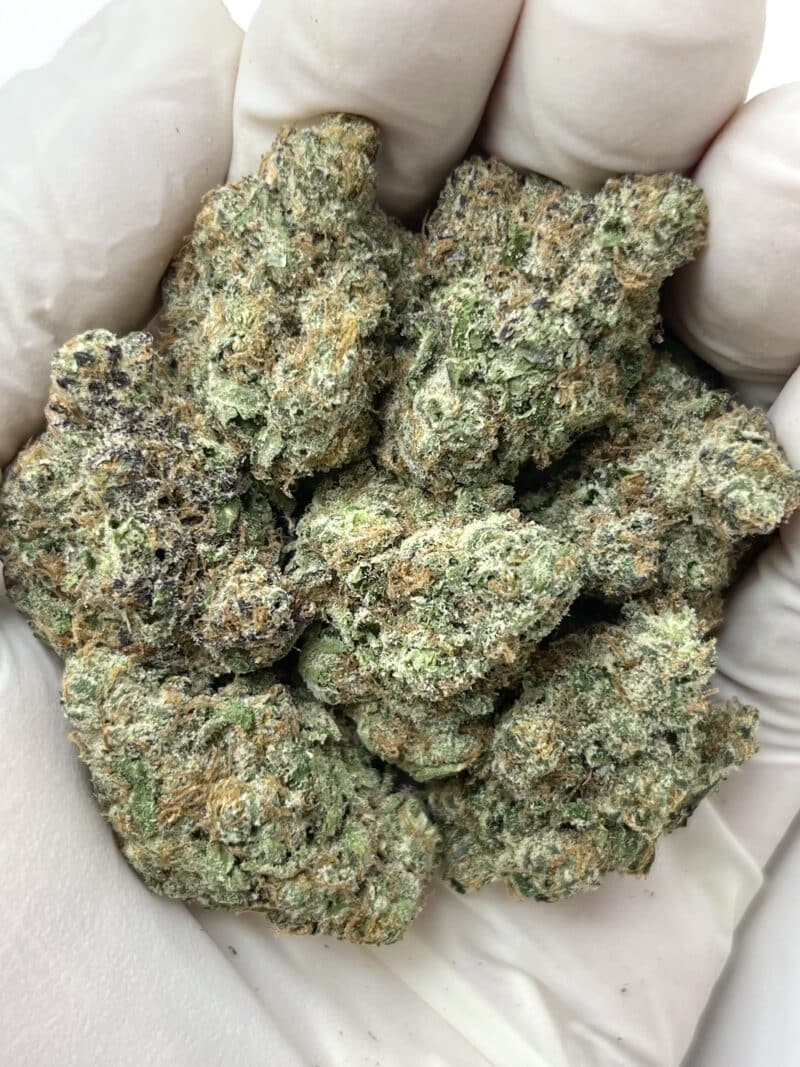Dante’s Wrath THCA flower buds