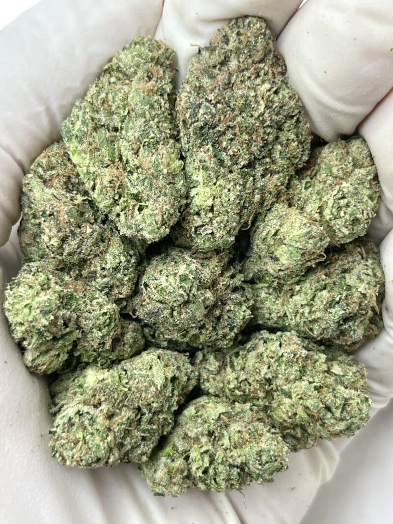 Lip Smackerz THCA flower buds