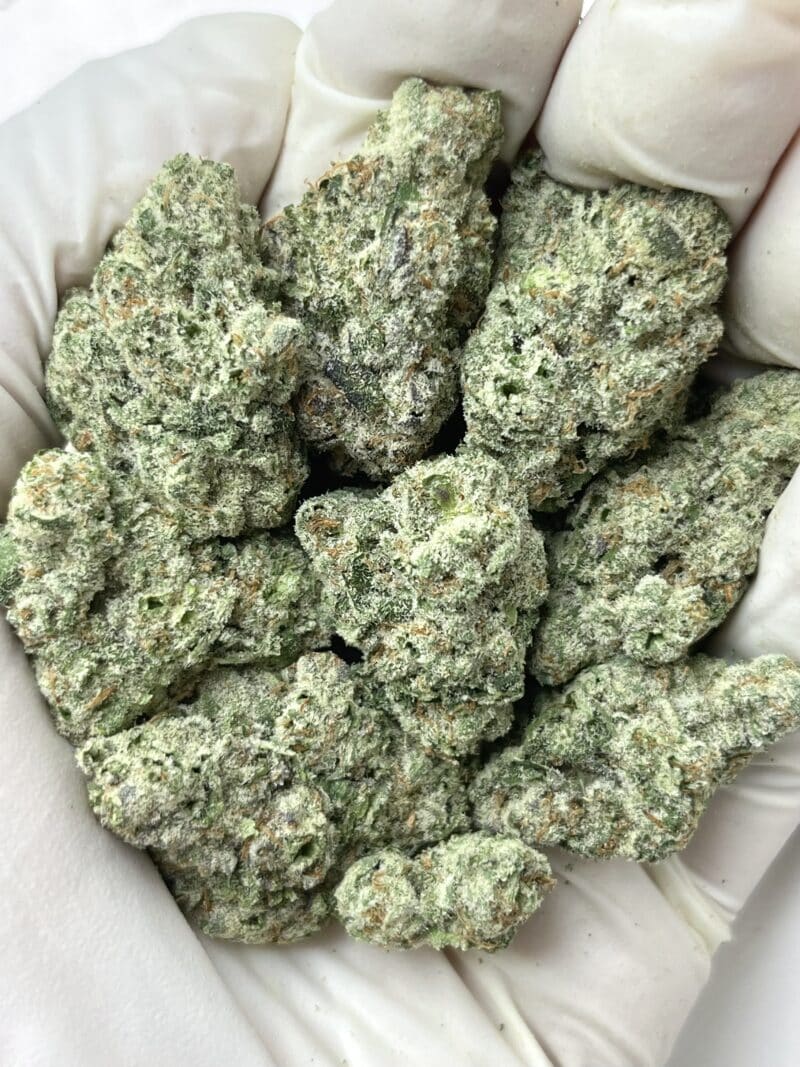 Spash THCA flower buds