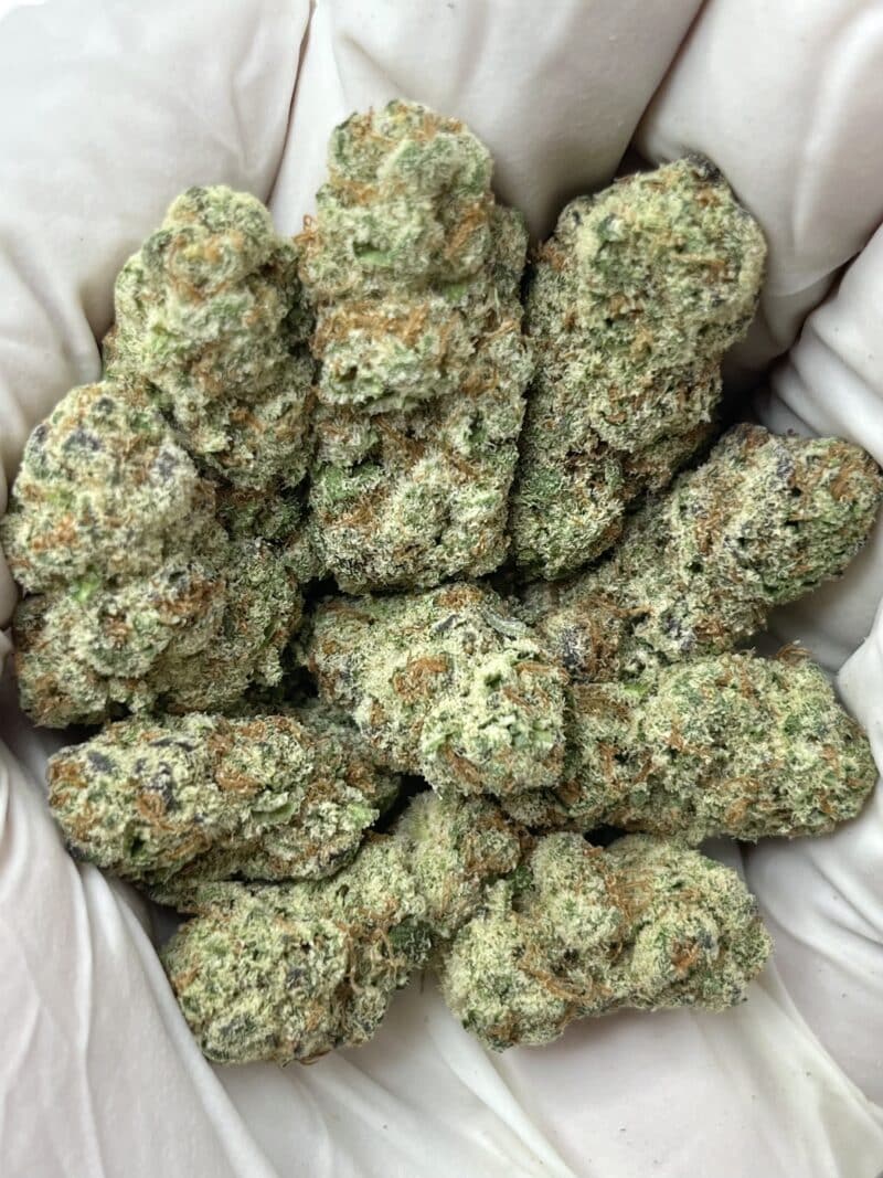Cherry Cream Float THCA flower buds