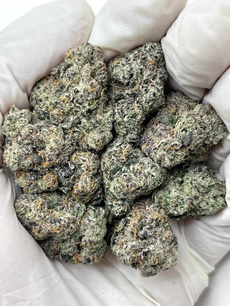 Archive Runtz THCA flower buds