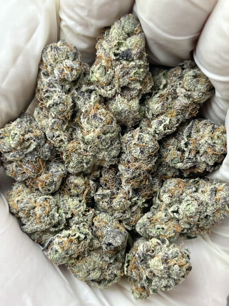 Pink Runtz X Cold Heat THCA flower buds