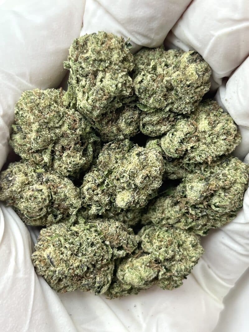 White Runtz THCA flower buds