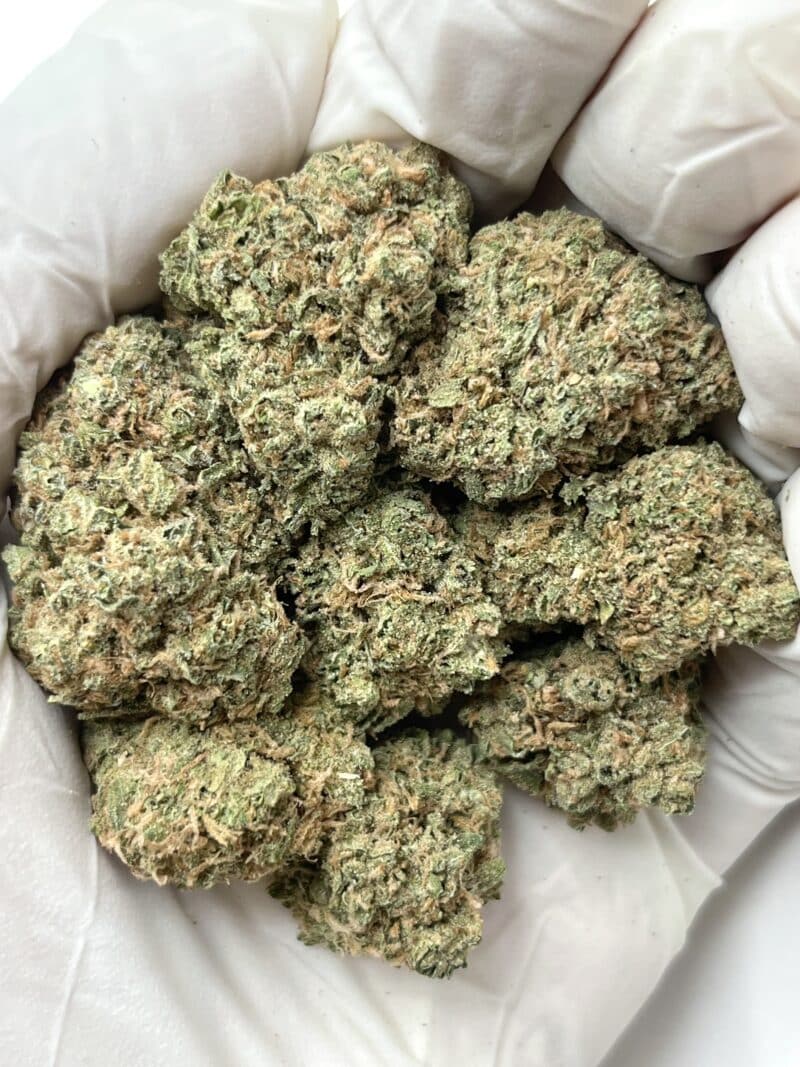 Candy Fuel THCA flower buds
