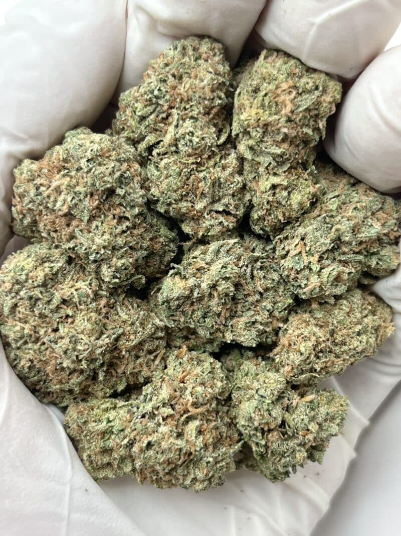 Candy Bomb THCA flower buds