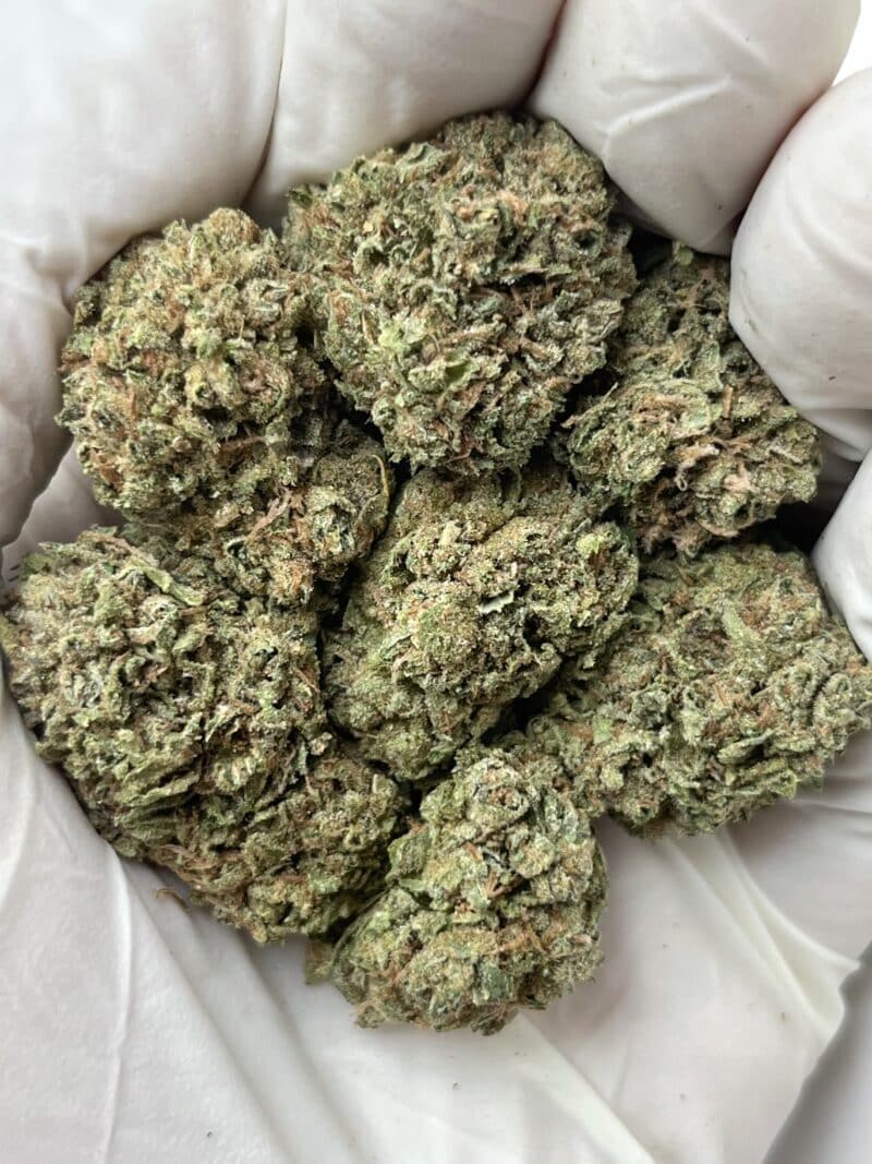 Lemon Candy THCA flower buds
